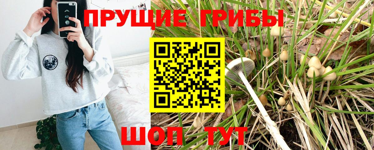 Псилоцибиновые грибы Cubensis  Вход с VPN  Клин 